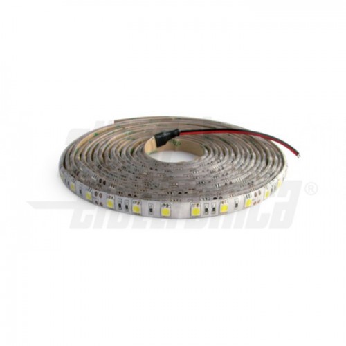 LED 12V 9,6W/MT IP65 BIANCO FREDDO 6000K 1MT